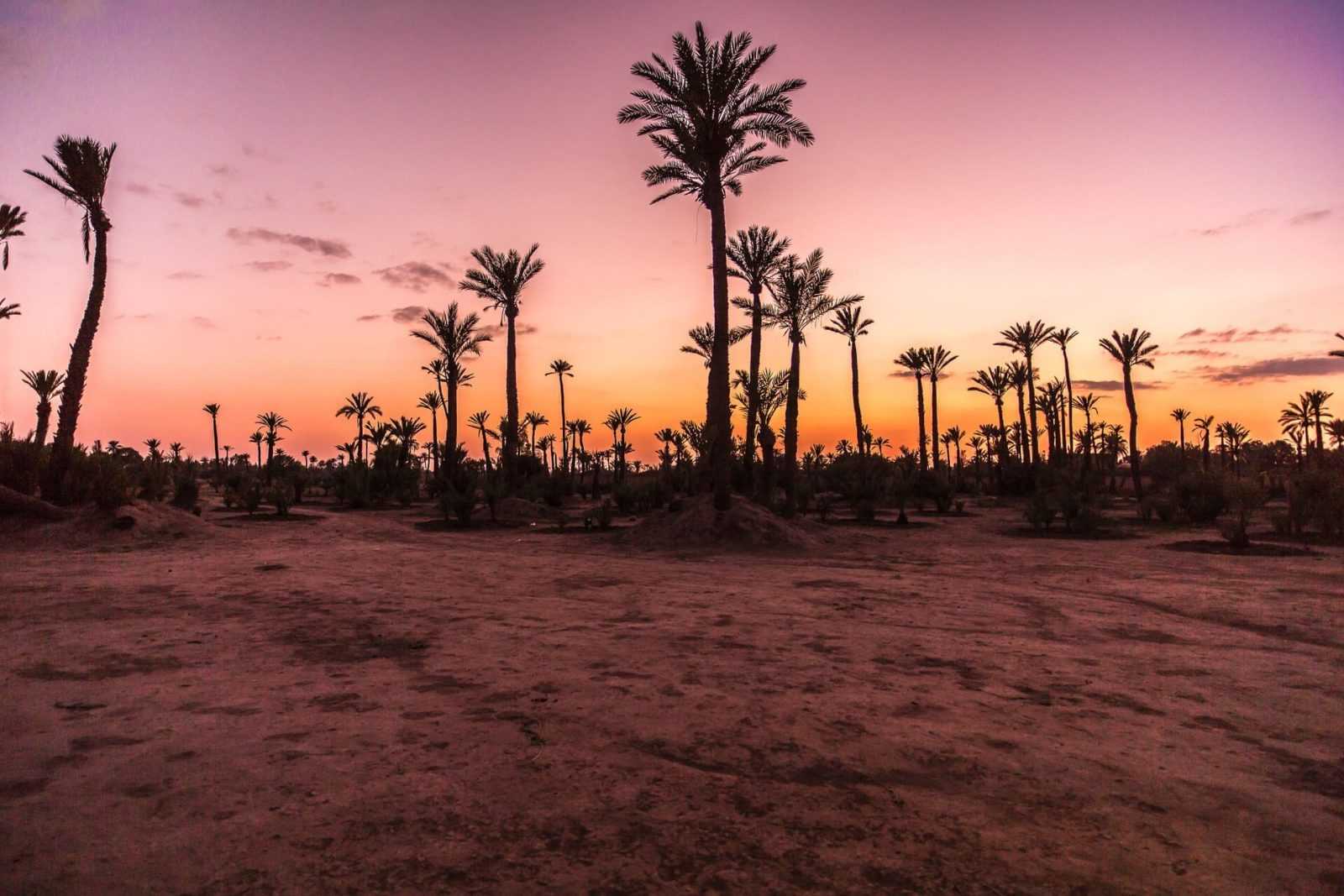 hot-air-balloon-marrakech
