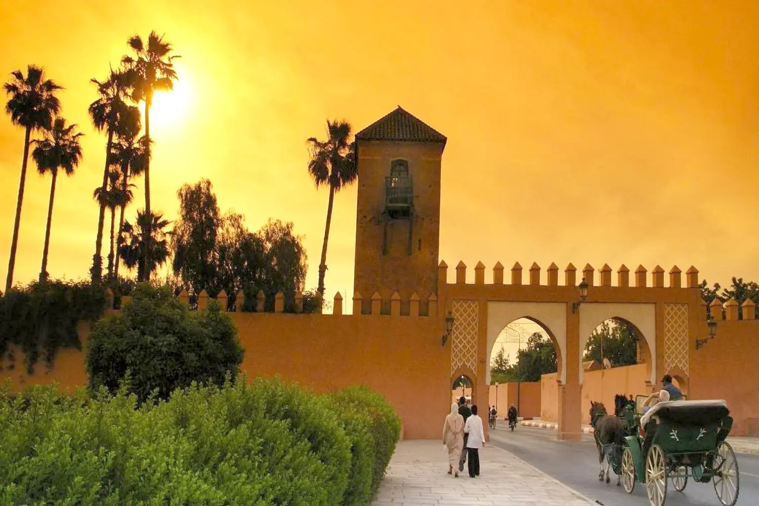 marrakech-gardens-horse-drawn-carriage